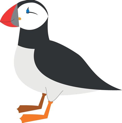 Cute cartoon puffin illustration 43858226 Vector Art at Vecteezy