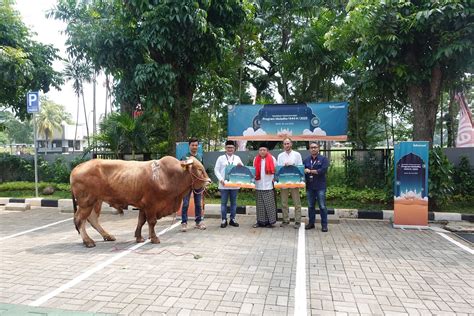 Telkomsel Salurkan Hewan Kurban Ke 46 Ribu Penerima Manfaat