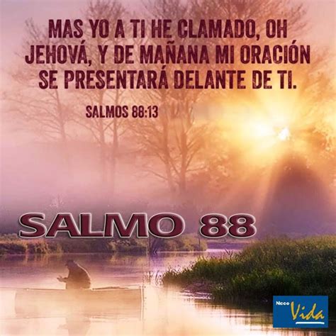 Neco Vida Leyendo Salmo 88