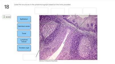 Solved 18 Label The Structures In The Photomicrograph Based Chegg