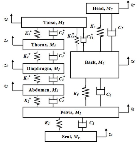 Seven Dof Lumped Biodynamic Model Of A Seated Occupant Developed