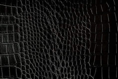 Textura De Piel De Cocodrilo Negro Con Fondo Foto Premium