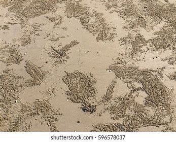 Natural Rough Sand Floor Texture Background Stock Photo 596578037 | Shutterstock