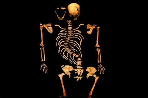 Richard III skeleton - Richard III. Photo (35424156) - Fanpop