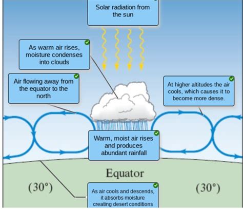 Ecology Final Exam Flashcards Quizlet