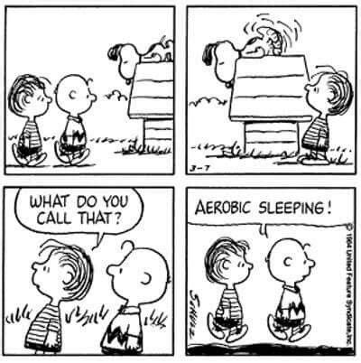 Pin By Susan Stewart On Snoopy And The Gang Snoopy Love Snoopy