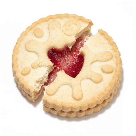 Burtons Jammie Dodgers Raspberry 494oz 140g