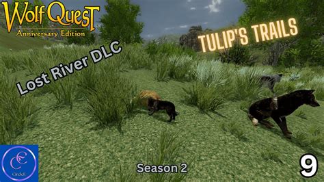 WolfQuest AE Lost River DLC Tulip S Trails Season 2 Episode 9