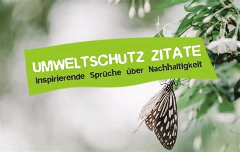 67 Umweltschutz Zitate Nachhaltigkeit Sprüche CareElite