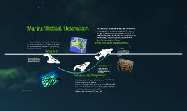 Marine Habitat Destruction by Liz Weber on Prezi