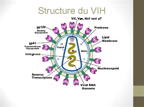 Infection VIH Et SIDA Cours IFSI 291020 Dr