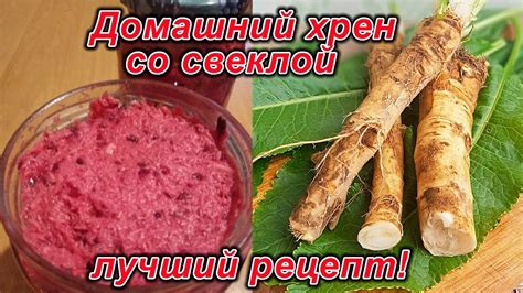 Домашний хрен со свеклой - лучший рецепт! - YouTube