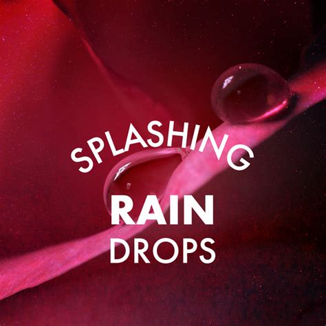 Splashing Rain Drops Album By Rain Sounds FX Spotify