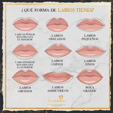 Pin De Veronica Saucedo En Clases Maquillaje Tipo De Labios Tipos De