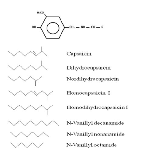 Chemical structure Capsaicinoids and analogues. | Download Scientific Diagram