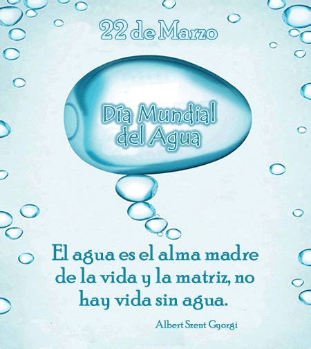 Tarjetas Con Frases Del 22 De Marzo Día Mundial Del Agua Imágenes