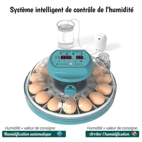 Couveuse Oeuf Automatique Oeufs Incubateur Automatique Syst Me