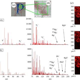 Tof Sims Analysis Of Red Pigment In Both Positive And Negative