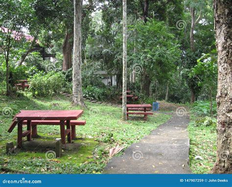 Mesas De Picnic En Los Jardines Nicos De Makiling Filipinas Imagen