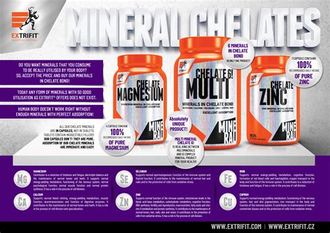 CHELATE 6 MULTIMINERAL Extrifit Sport Nutrition