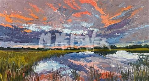 Lowcountry Marsh Sunset Art By Michael Meissner