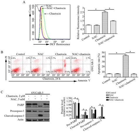 Chaetocin Induces Caspase‑dependent Apoptosis In Ovarian Cancer Cells