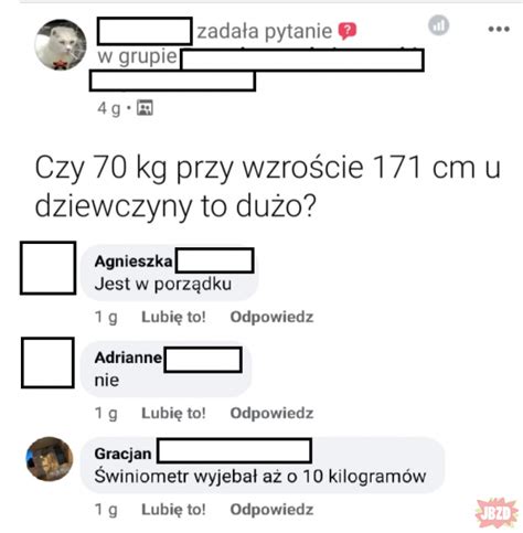 Sytuacja na rynku świn lekko w górę