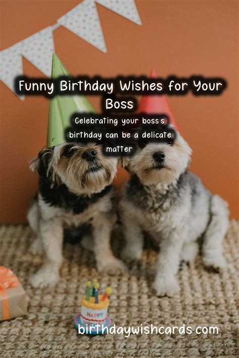 birthday wishes to boss 7