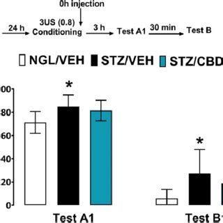 Effect Of A Single Injection With Cannabidiol Cbd Mg Kg Ip Or