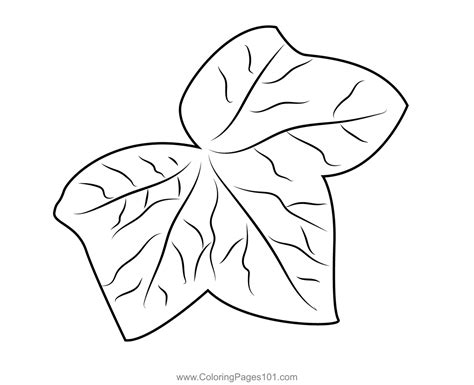 Ivy Leaf Coloring Page For Kids Free Leaves Printable Coloring Pages