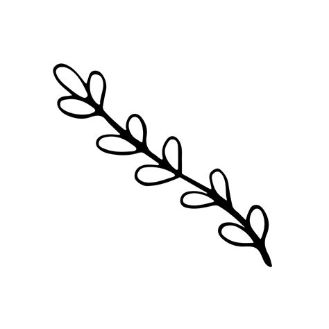 Hand drawn sketch leaf isolated on white background 14374866 Vector Art at Vecteezy