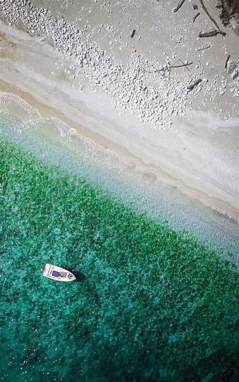 Traversata Del Conero In Barca Con Soste Bagno Ed Aperitivo