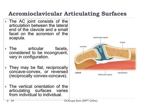 Shoulder Complex Biomechanics Ppt