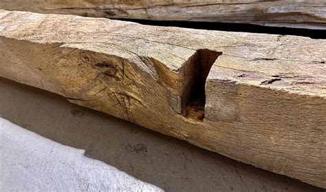 Eichenbalken Eiche Dekoration Säule Holz Balken massiv Kaufen