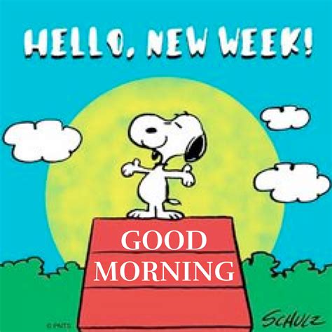 Pin By C R On My Snoopy Pins Snoopy Quotes Good Morning Snoopy Happy Monday Quotes