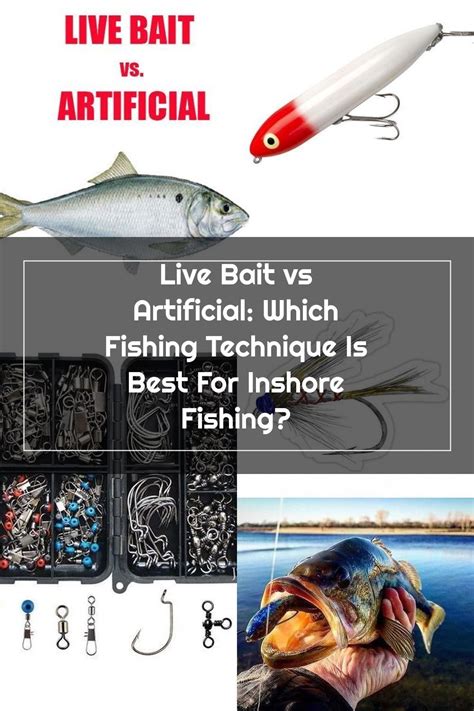 Live Bait Vs Artificial Which Fishing Technique Is Best For Inshore