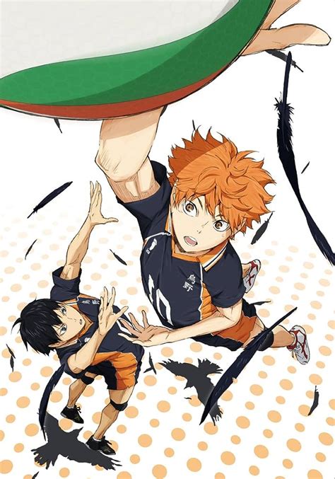 Haikyuu!! (anime) - All The Tropes