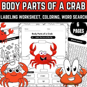 Body Parts of a Crab | Anatomy of a Crab | Educational Worksheet | Easy ...