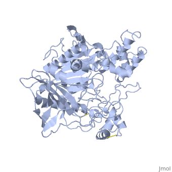 Lipase - Proteopedia, life in 3D