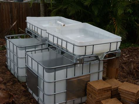 Download Plans Aquaponics: Aquaponics In Ibc Totes