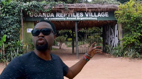 I Visited The Uganda Reptiles Village Where They Rescue And Protect