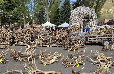 Video of Elk Shed hunting kick off/horse race - AR15.COM