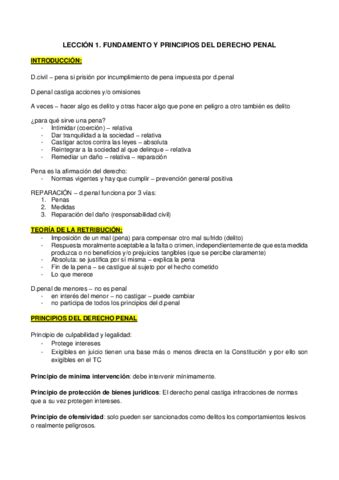 Tema Penal Pdf