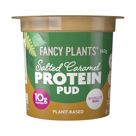 Buy Fancy Plants High Protein Pud Salted Caramel 160g Coles