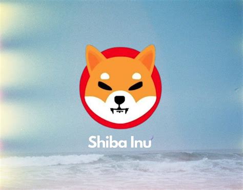 Shiba Inu Lead Spotlights The Shib Magazines Latest Edition Heres