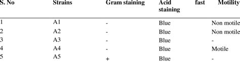 Morphological Characterization Download Scientific Diagram