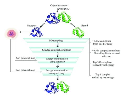 Flowchart Of The Docking Protocol Used In This Work Download