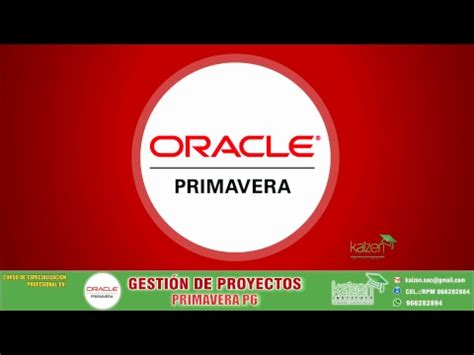 Curso En Gesti N De Proyectos Con Primavera P Youtube