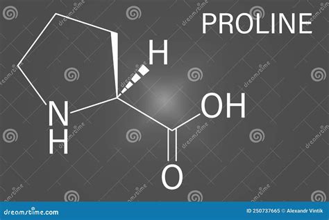 Proline Pro C5H9NO2 Proteinogenic Amino Acid Structural Chemical