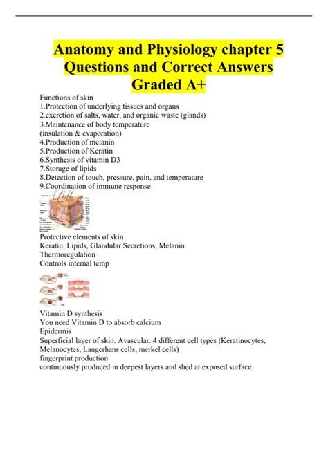 Anatomy And Physiology Chapter 5 Questions And Correct Answers Graded